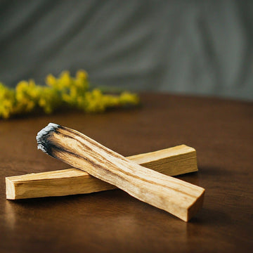 What is Palo Santo พาโลซานโต คืออะไร? Scavi