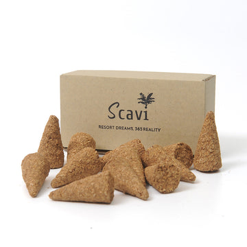 Palo Santo Incense Benefits | Scavi Incense Cones for Mind & Body