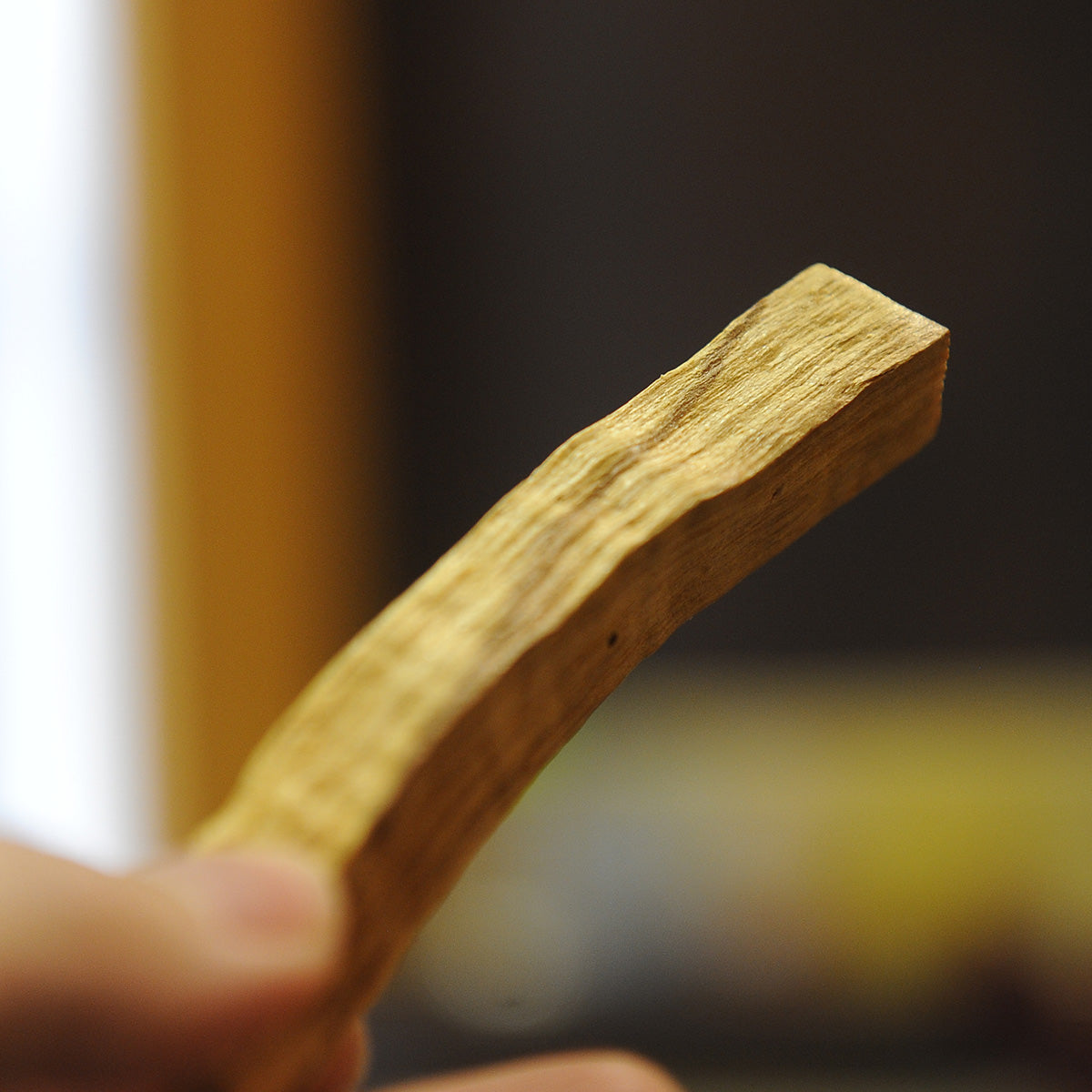 Palo Santo คือ