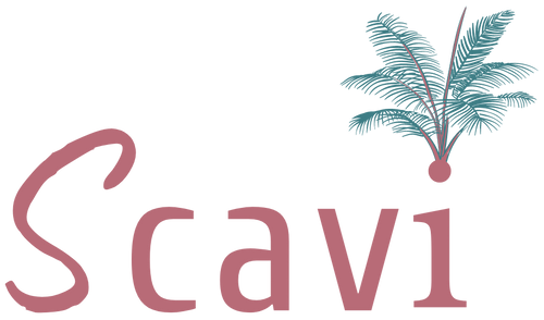Scavi
