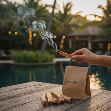 What is Palo Santo | พาโลซานโต คืออะไร? ประโยชน์ สรรพคุณ และวิธีใช้