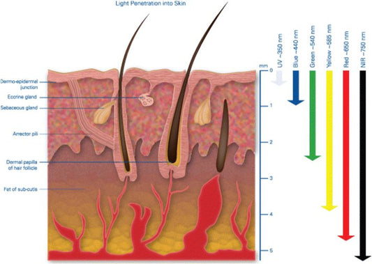 Soothing Muscle Pain with Philips Infrared Lamp: Exploring the Benefits - Scavi