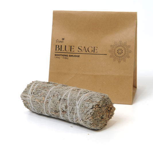 Blue Sage 4 inches