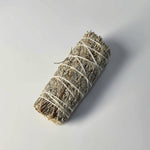 Blue Sage 4 inches