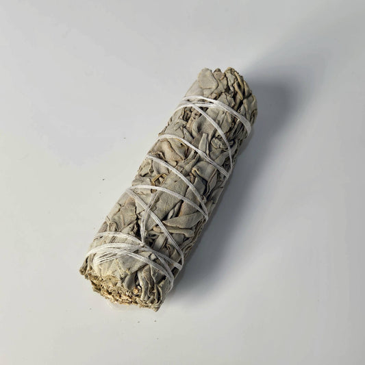 White Sage 4 inches