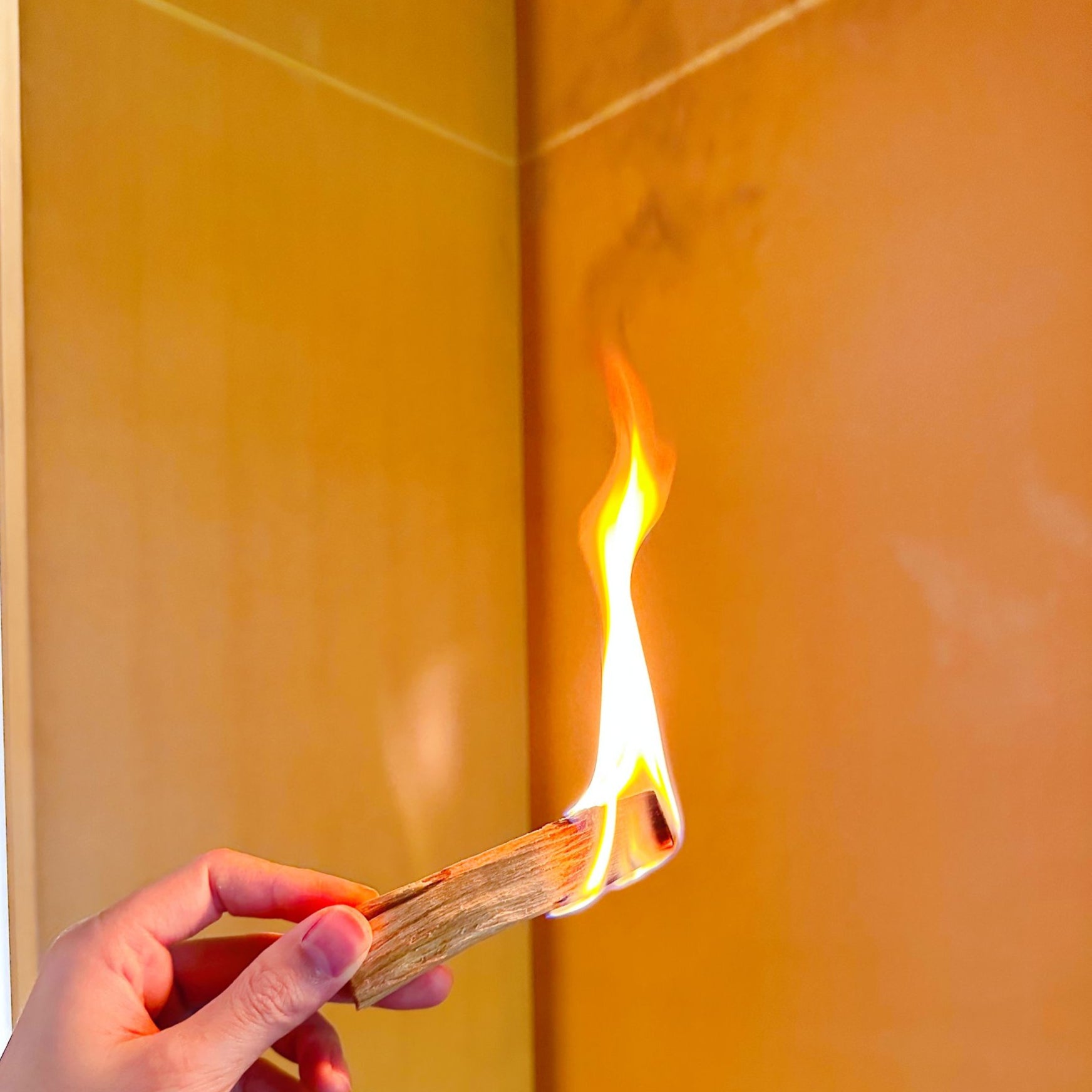 Palo Santo