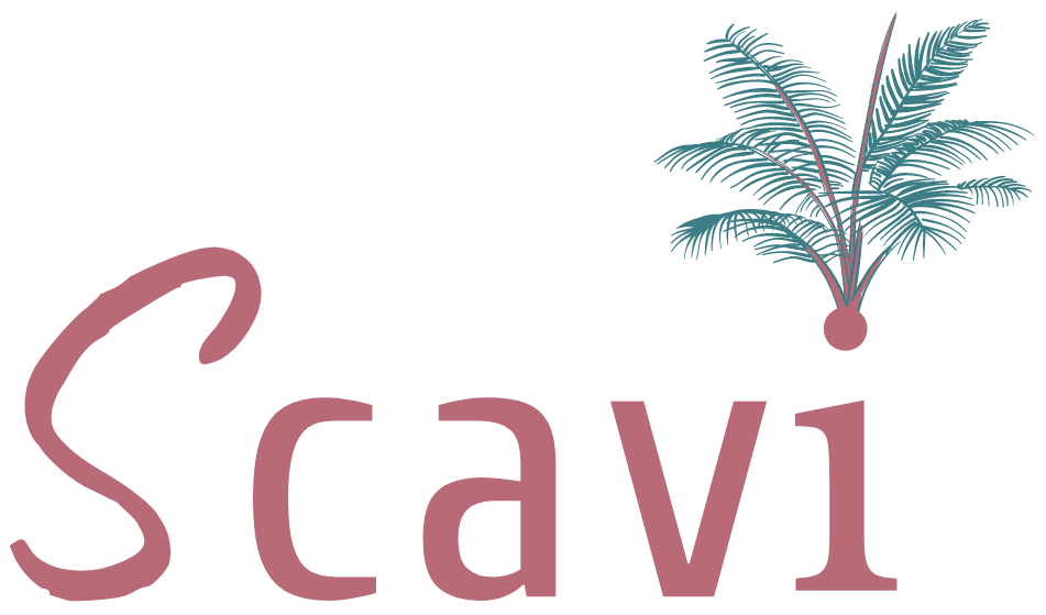 Scavi